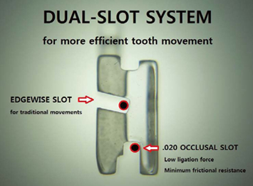 ABSOLUTE CLEAR DUAL SLOT - MINI