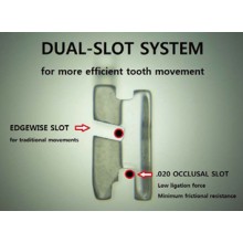 ABSOLUTE CLEAR DUAL SLOT - MINI