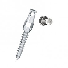 MICRO IMPLANT - LONG HEAD(LH) TYPE