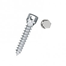 MICRO IMPLANT - NO HEAD(NH) TYPE